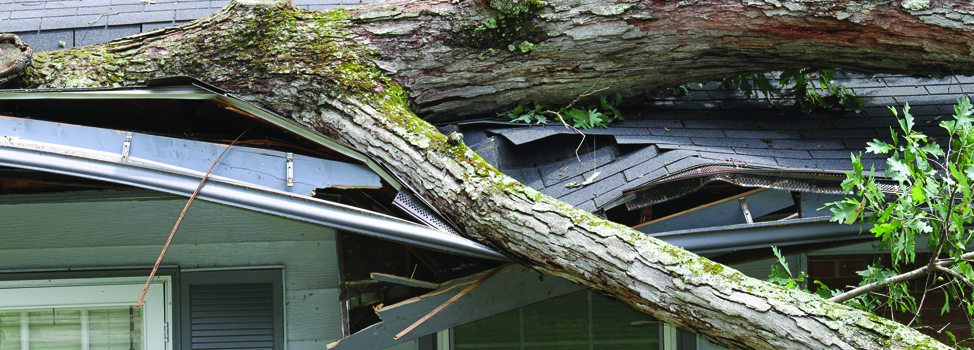 Storm Damage Repair Roofing